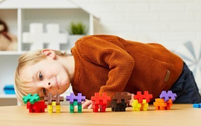 Le rôle des puzzles dans le développement des jeunes enfants ?